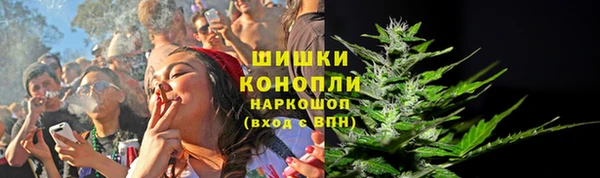 ПСИЛОЦИБИНОВЫЕ ГРИБЫ Бронницы