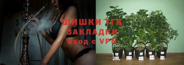 скорость Богородицк