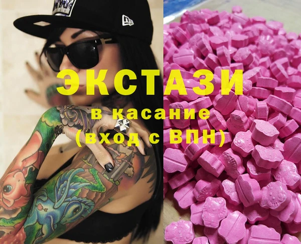 молекула духа Богданович