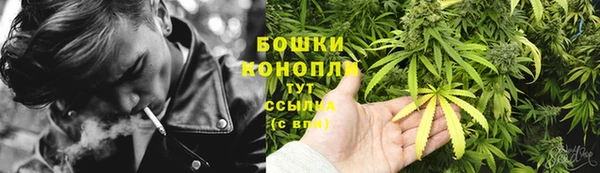 стафф Сосновоборск